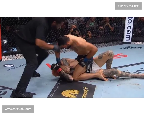 伯努瓦·圣但尼第二回合TKO胜丹·霍克，获得UFC 325终结奖金2.5万美元